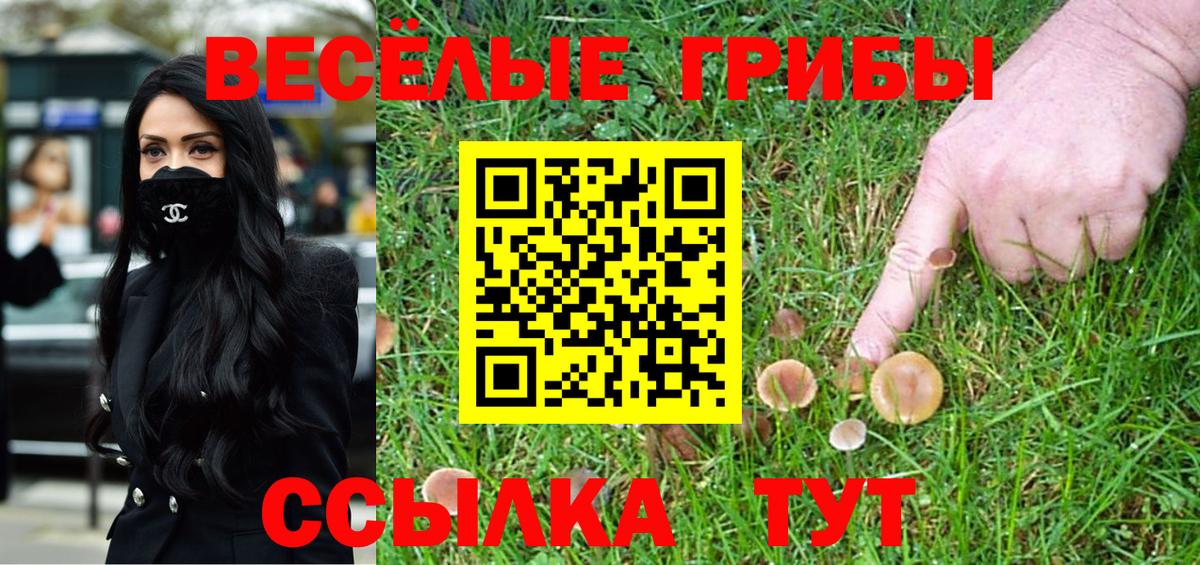 Казань  Галлюциногенные грибы прущие грибы  Вход с VPN 